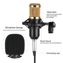 Load image into Gallery viewer, BM800 Condenser Studio Microphone